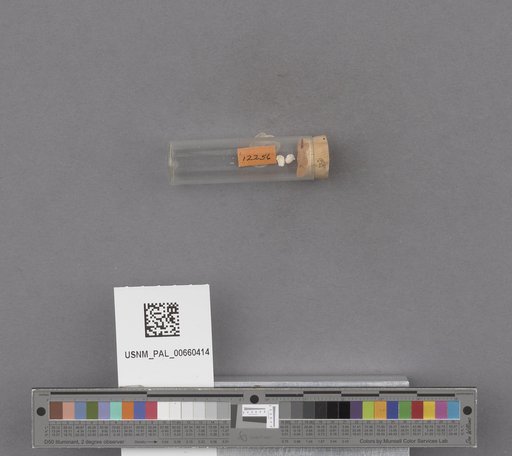 NSF ADBC EPICC TCN