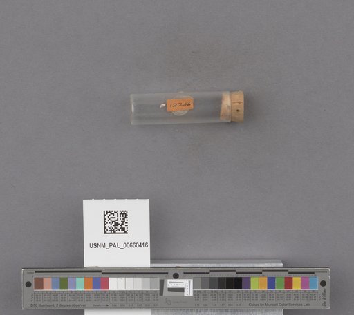 NSF ADBC EPICC TCN
