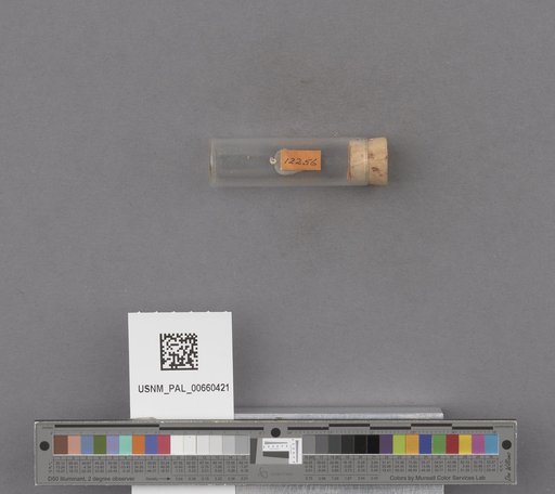 NSF ADBC EPICC TCN