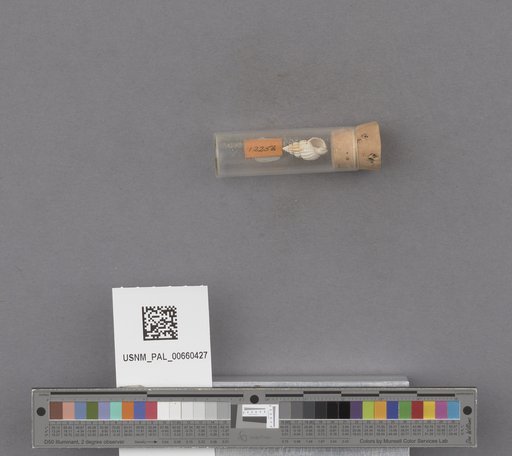 NSF ADBC EPICC TCN