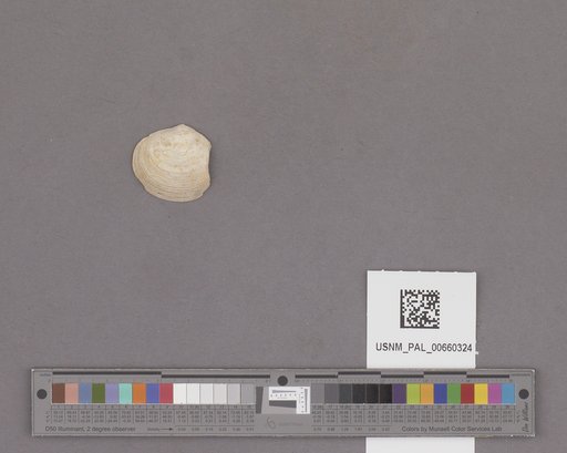 NSF ADBC EPICC TCN