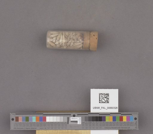 NSF ADBC EPICC TCN