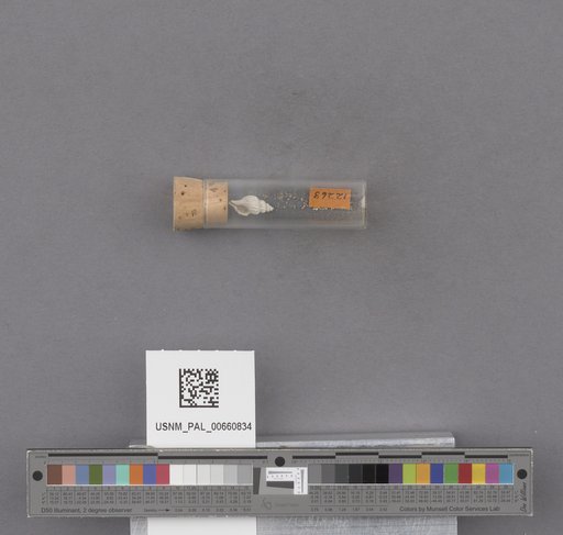 NSF ADBC EPICC TCN