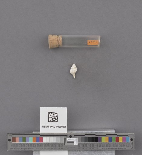 NSF ADBC EPICC TCN