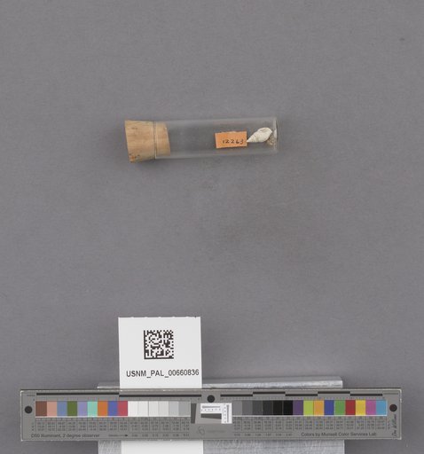 NSF ADBC EPICC TCN