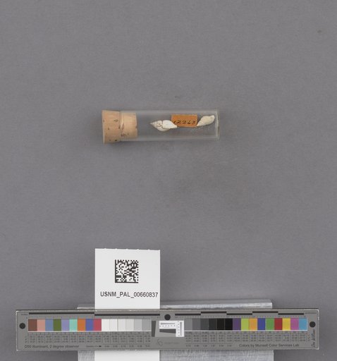 NSF ADBC EPICC TCN
