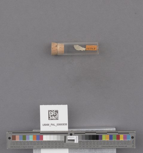 NSF ADBC EPICC TCN