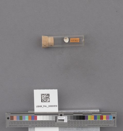 NSF ADBC EPICC TCN