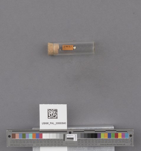 NSF ADBC EPICC TCN