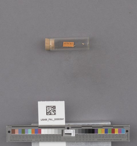NSF ADBC EPICC TCN