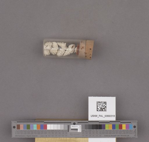 NSF ADBC EPICC TCN