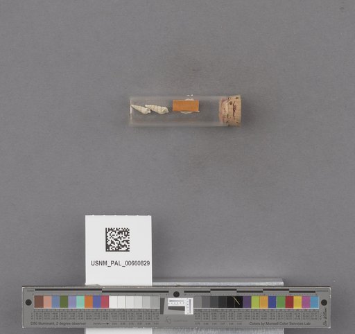 NSF ADBC EPICC TCN