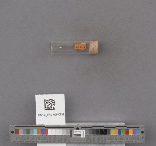 NSF ADBC EPICC TCN