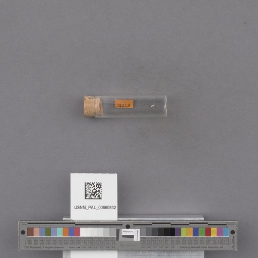 NSF ADBC EPICC TCN