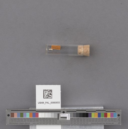NSF ADBC EPICC TCN