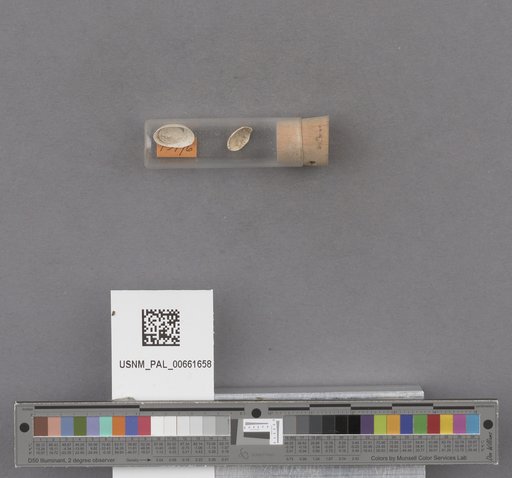 NSF ADBC EPICC TCN