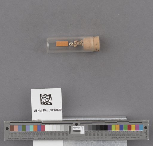 NSF ADBC EPICC TCN
