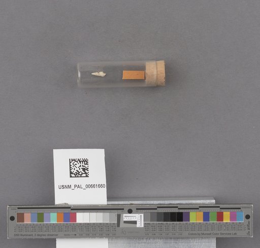 NSF ADBC EPICC TCN