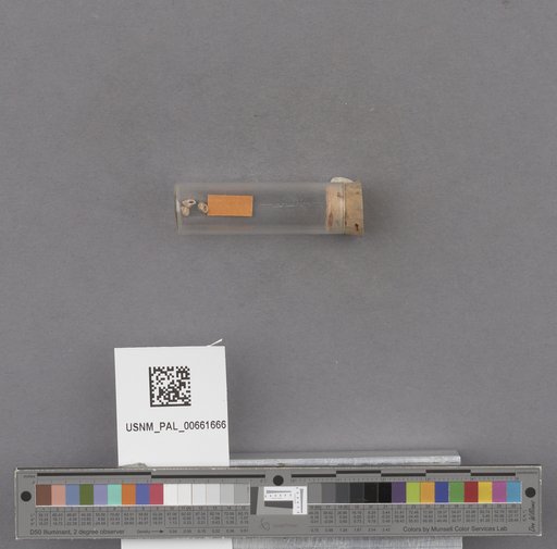 NSF ADBC EPICC TCN