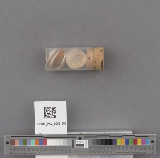 NSF ADBC EPICC TCN