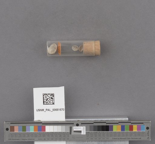 NSF ADBC EPICC TCN
