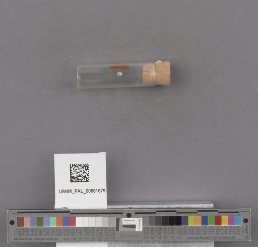 NSF ADBC EPICC TCN
