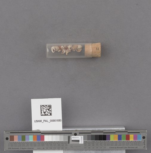 NSF ADBC EPICC TCN
