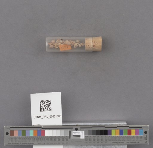 NSF ADBC EPICC TCN
