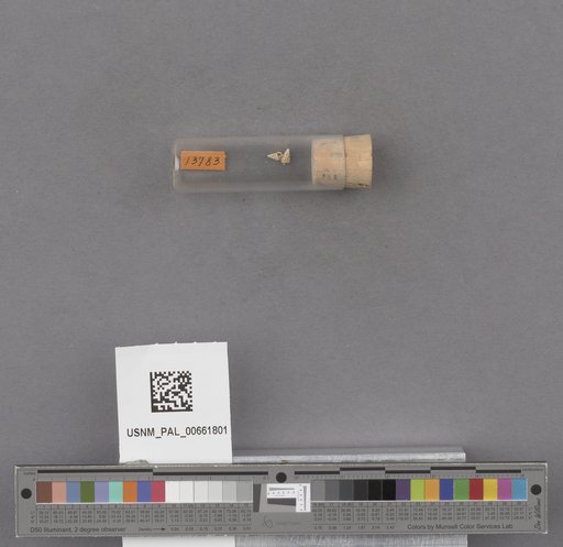NSF ADBC EPICC TCN