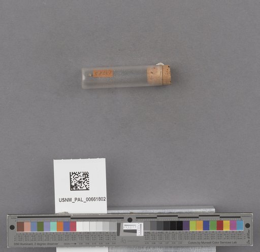 NSF ADBC EPICC TCN