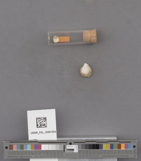 NSF ADBC EPICC TCN