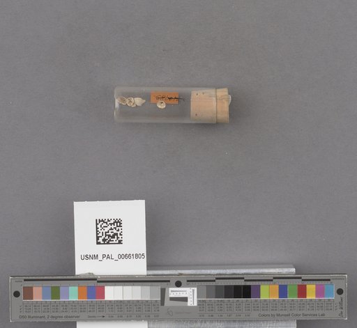 NSF ADBC EPICC TCN