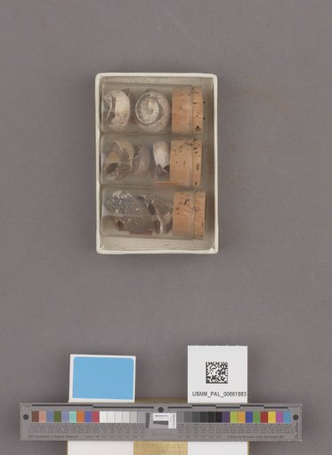 NSF ADBC EPICC TCN