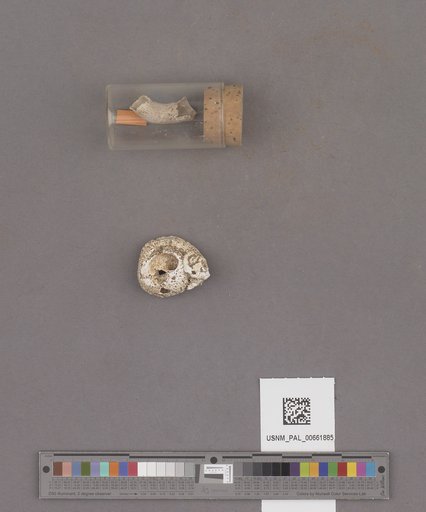 NSF ADBC EPICC TCN