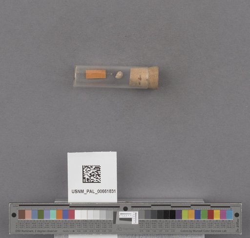 NSF ADBC EPICC TCN