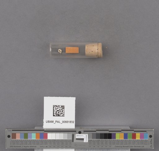 NSF ADBC EPICC TCN