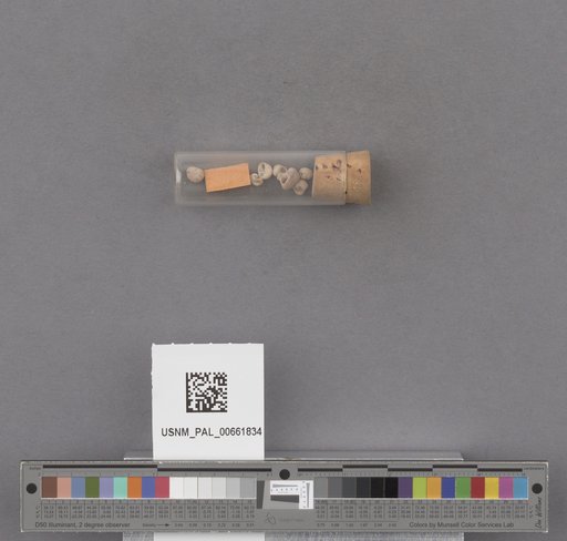 NSF ADBC EPICC TCN