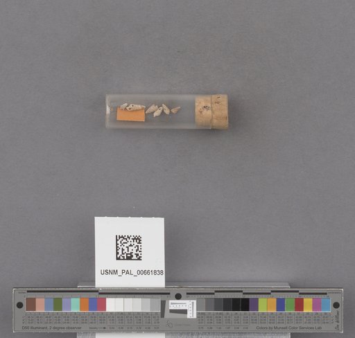 NSF ADBC EPICC TCN