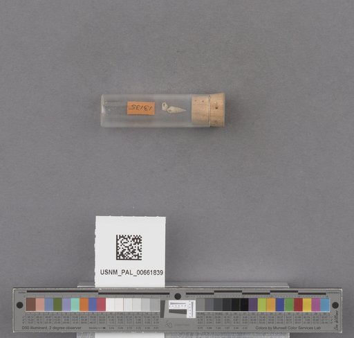 NSF ADBC EPICC TCN