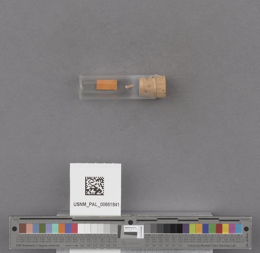 NSF ADBC EPICC TCN