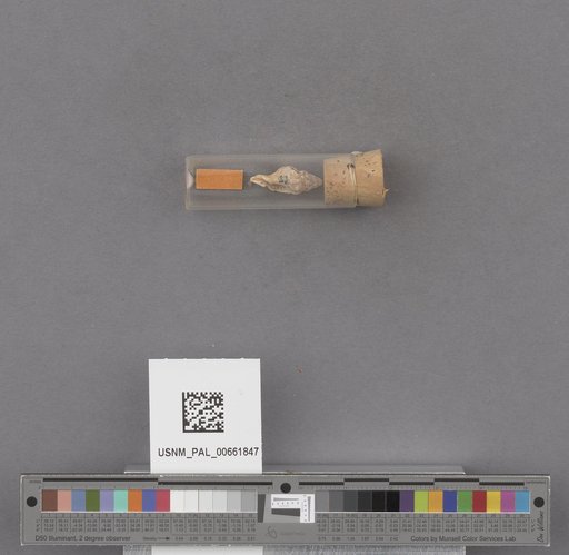 NSF ADBC EPICC TCN