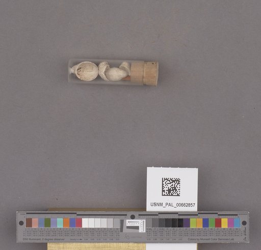 NSF ADBC EPICC TCN