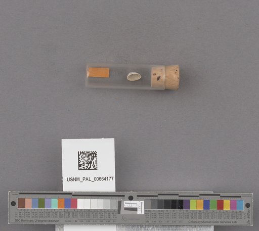 NSF ADBC EPICC TCN