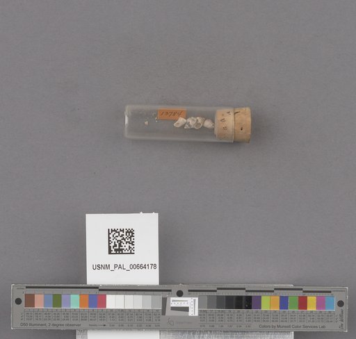 NSF ADBC EPICC TCN