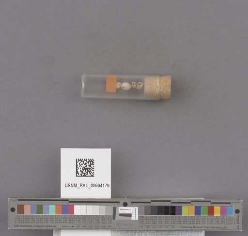 NSF ADBC EPICC TCN