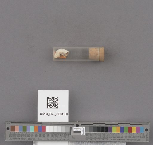 NSF ADBC EPICC TCN