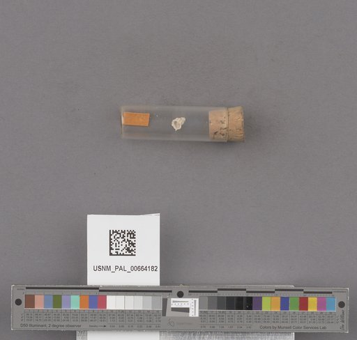 NSF ADBC EPICC TCN