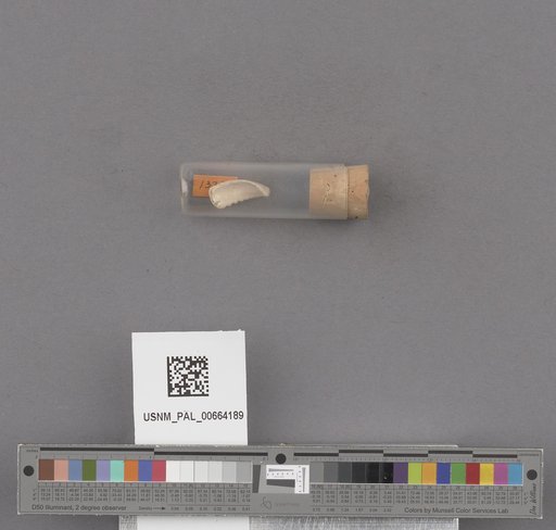 NSF ADBC EPICC TCN