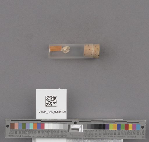 NSF ADBC EPICC TCN