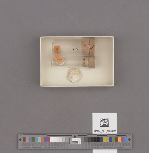 NSF ADBC EPICC TCN